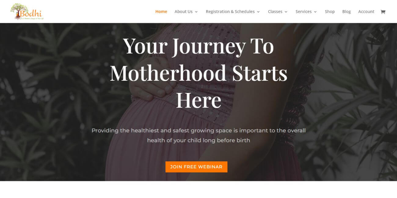 pregnancy trainer LMS Ecommerce Website designer in coimbatore